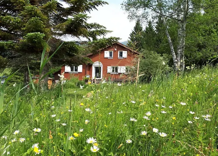 Chic-hot Pot By Interhome Tatil Evi Wildhaus